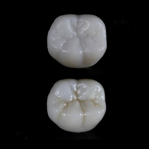 3D Printing in Dental Continuing Education 3