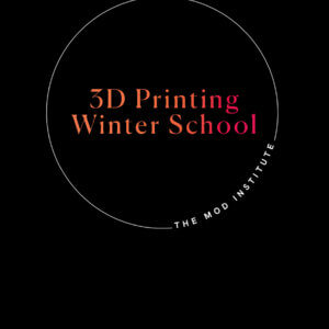 3d printing winter school