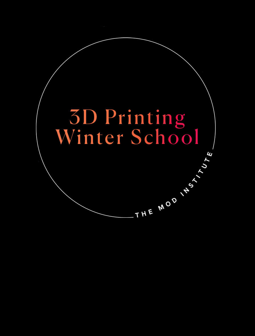 3d printing winter school