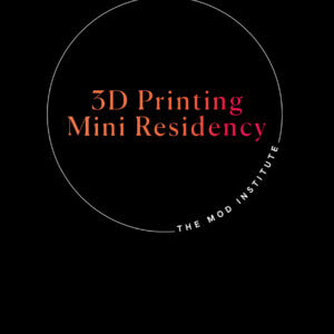 3D Printing Mini Residency