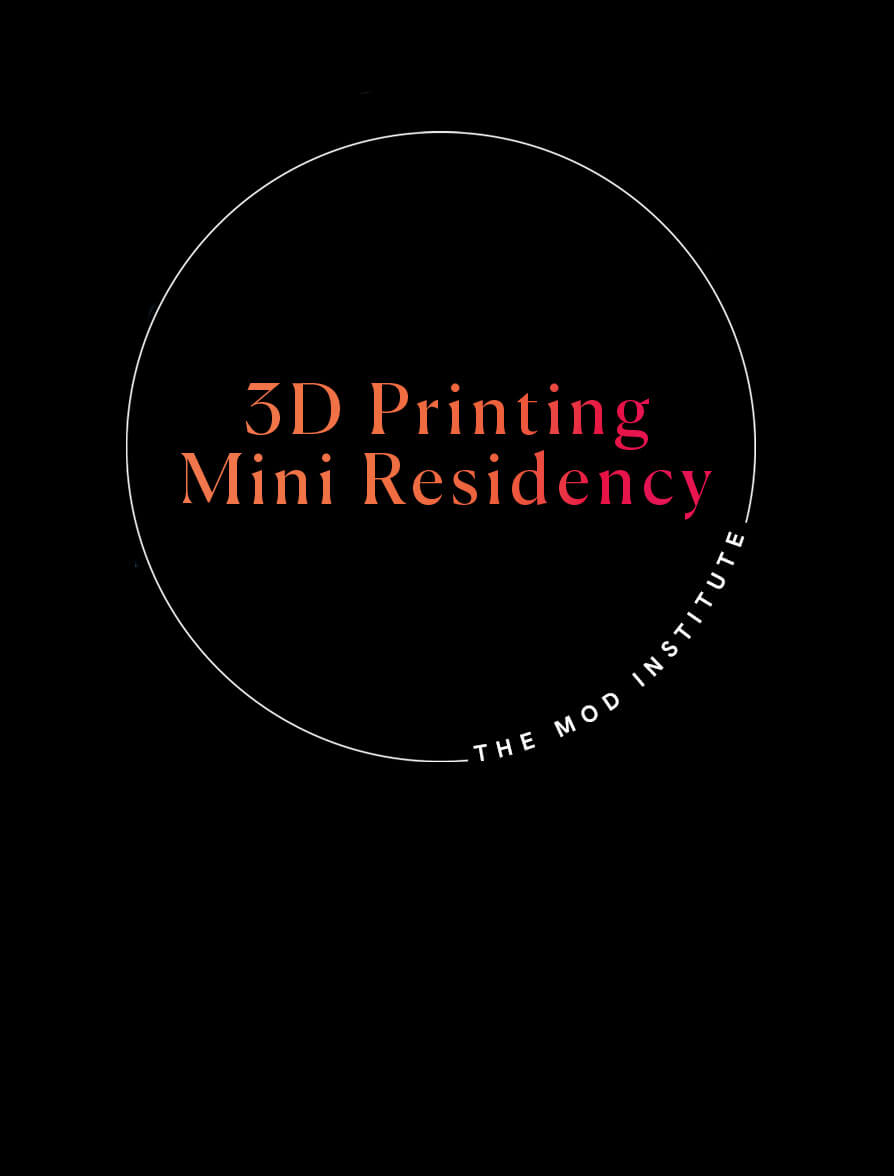 3D Printing Mini Residency