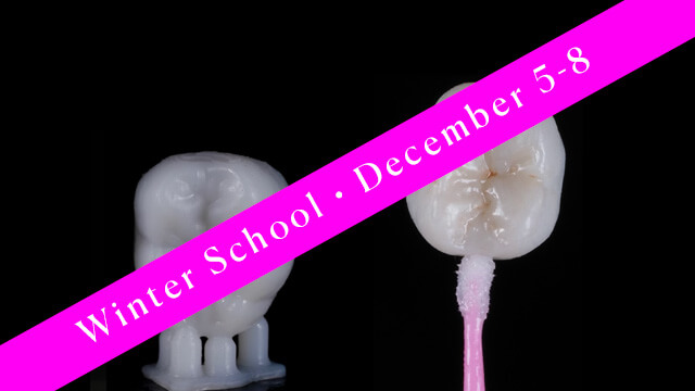 Winter School Charleston