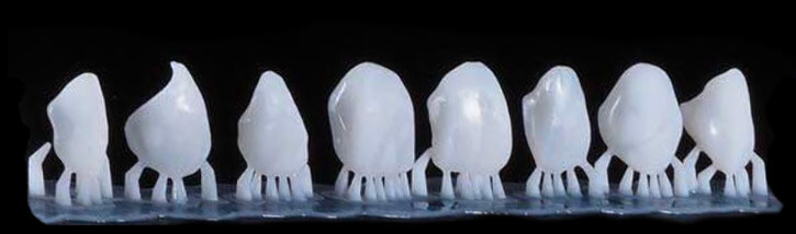 Printed-Teeth