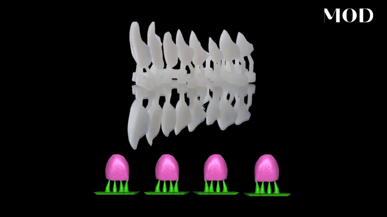 How to Nest Veneers